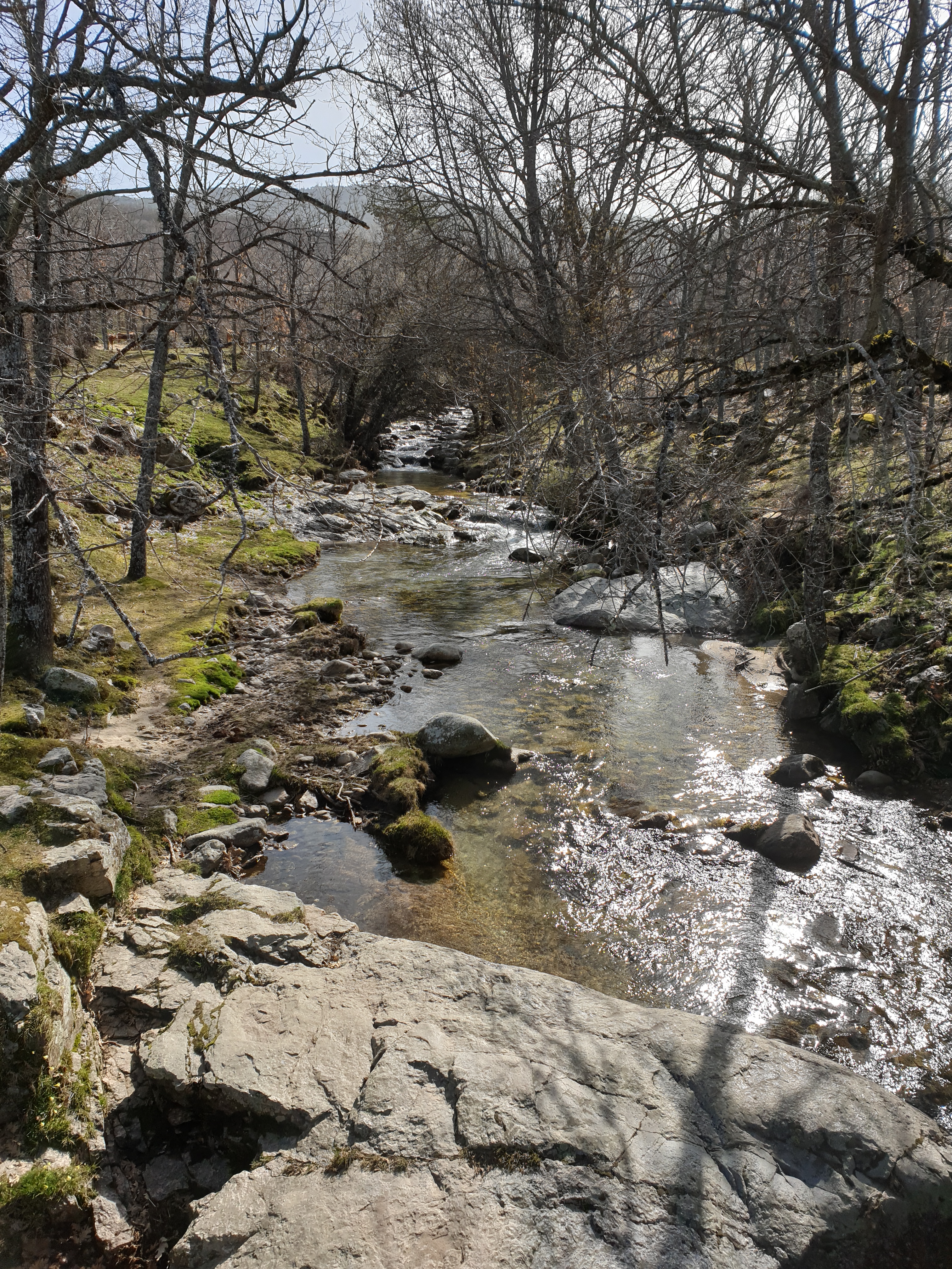 A walk in the mountains